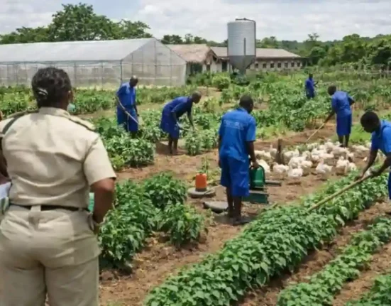 FG moves to transform correctional centres into food production hubs
