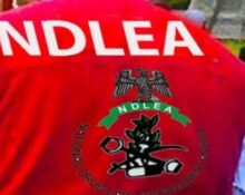 NDLEA Arrests Wanted Drug Suspect After 15 Years