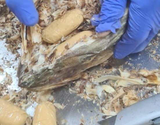 NDLEA Seizes Cocaine Hidden in Stockfish, Arrests Suspected Kingpin in Lagos