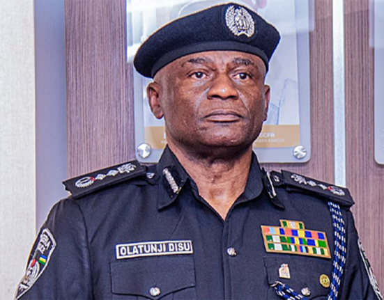 National Police Council Confirms Disu as Substantive IGP