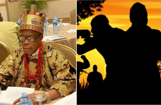 Police Arrest Suspect Over Kidnapping, Killing of Ebonyi Monarch