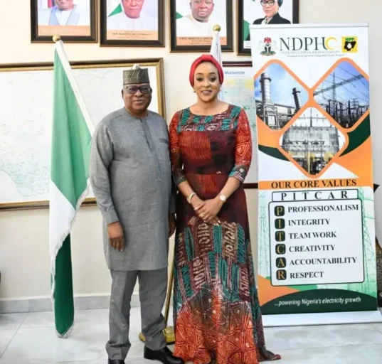 Togo Seeks Increased Electricity Supply from Nigeria