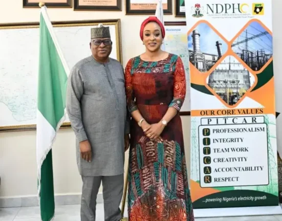 Togo Seeks Increased Electricity Supply from Nigeria