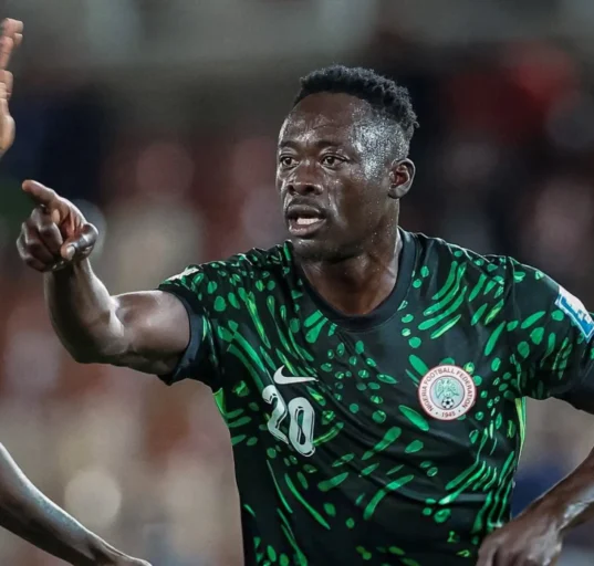 Super Eagles Must Start 2030 World Cup Planning Now, Adams Urges