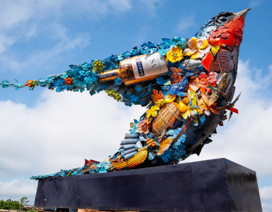 Martell unveils 14-foot ‘Swift Ascendant’ art in Abuja