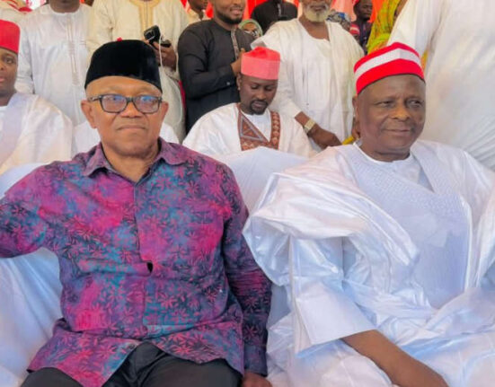 NDC Moves to Attract Obi, Kwankwaso Ahead of Primary Deadline