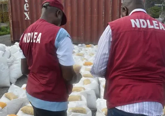 NDLEA busts trafficking network spanning eight states, Abuja