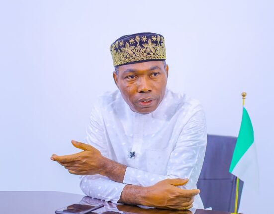 Nigeria at risk of one-man rule SDP’s Adebayo warns