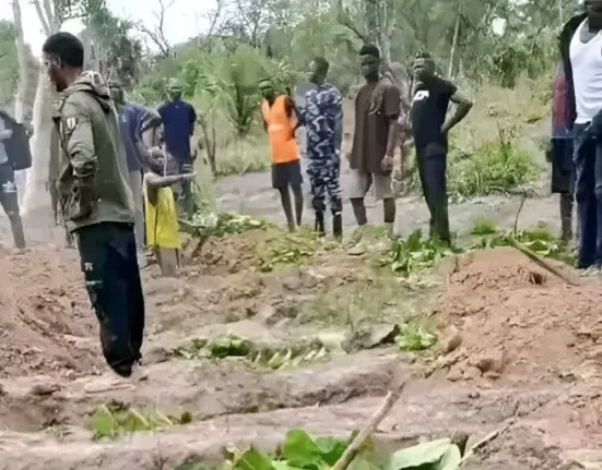 Nine killed in fresh attack on Benue community