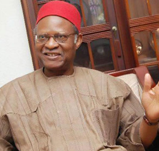 Anyaoku-led group raises alarm  over insecurity, poverty ahead of 2027 elections