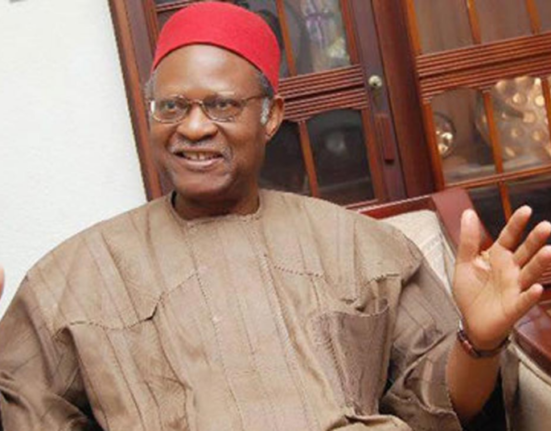 Anyaoku-led group raises alarm  over insecurity, poverty ahead of 2027 elections