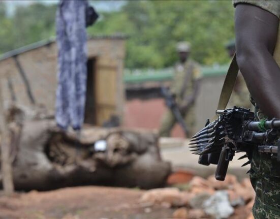 At least 30 killed in central Mali attacks