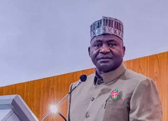 Defence Minister Says Anyone Planning a Coup in Nigeria Is Wasting Their Time