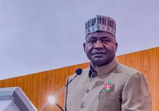 Defence Minister Says Anyone Planning a Coup in Nigeria Is Wasting Their Time
