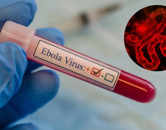 Ebola May Have Spread Beyond DR Congo Borders, WHO Warns