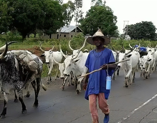 Government Reviving Grazing Reserves to Curb Farmer-herder Clashes