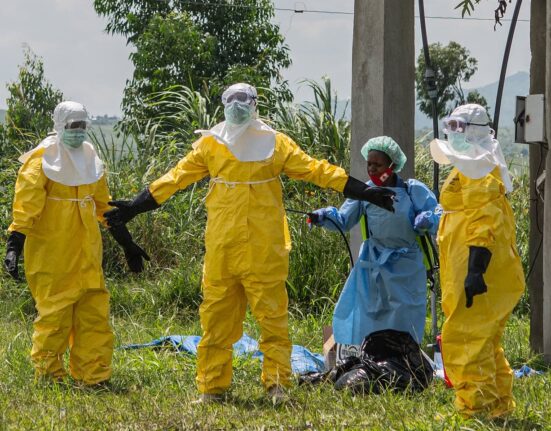 India-Africa summit postponed over Ebola outbreak in DRC