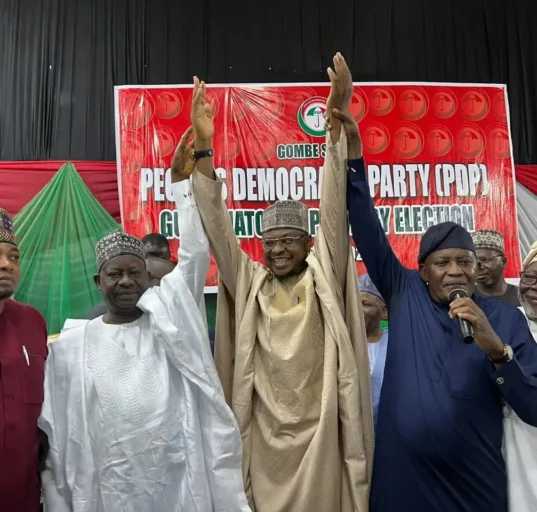Pantami clinches PDP governorship ticket in Gombe after defection