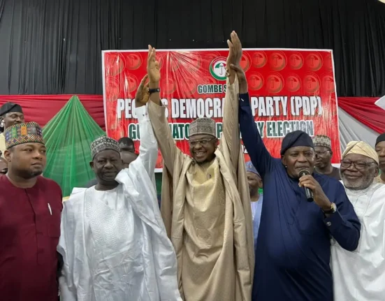 Pantami clinches PDP governorship ticket in Gombe after defection