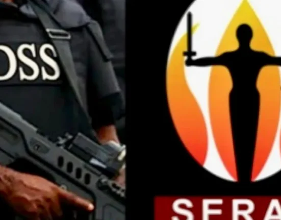 SERAP Seeks Stay of Execution Over DSS Case