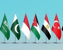 Eight Arab Islamic States Condemn Israeli Minister's Actions Toward Flotilla Activists