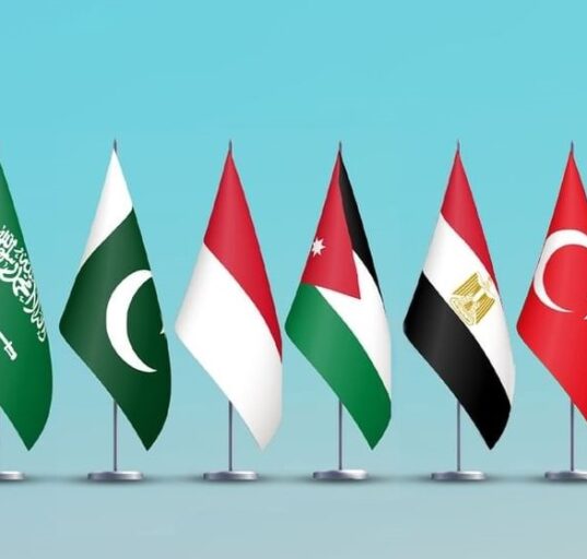 Eight Arab Islamic States Condemn Israeli Minister's Actions Toward Flotilla Activists