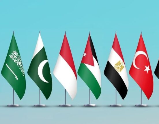 Eight Arab Islamic States Condemn Israeli Minister's Actions Toward Flotilla Activists