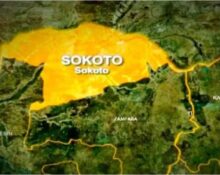 34 Dead as Meningitis Spreads Across Nine Sokoto LGAs