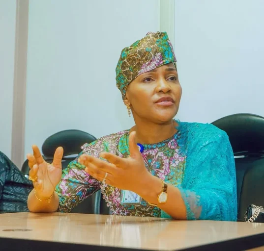 FG Pledges Support for Electric Vehicles to Drive Green Energy Transition