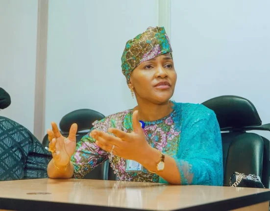 FG Pledges Support for Electric Vehicles to Drive Green Energy Transition