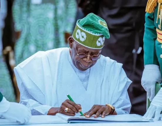 Tinubu Projects $20 Billion Foreign Investment for Nigeria