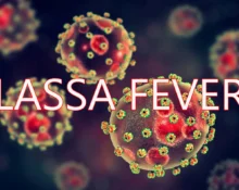 Lassa fever death toll rises to 191 in Nigeria