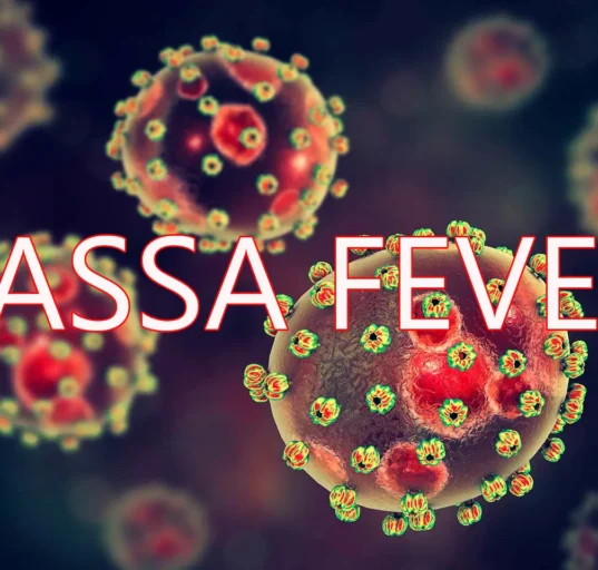 Lassa fever death toll rises to 191 in Nigeria