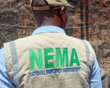 115 Stranded Nigerian Migrants Repatriated from Niger Republic in Voluntary Return Exercise