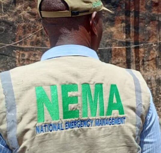 115 Stranded Nigerian Migrants Repatriated from Niger Republic in Voluntary Return Exercise