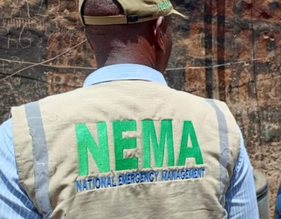 115 Stranded Nigerian Migrants Repatriated from Niger Republic in Voluntary Return Exercise