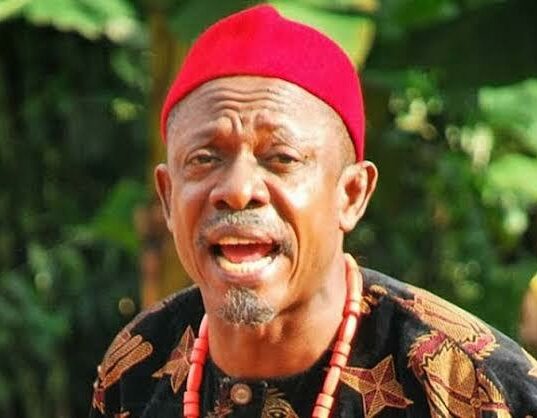 Fame took away my freedom, says veteran actor Nkem Owoh