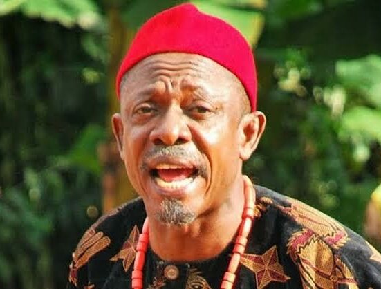 Fame took away my freedom, says veteran actor Nkem Owoh