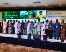Federal Government Launches Land Trust Fund With IITA to Train Six Million Youths in Agribusiness