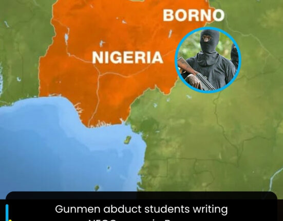 Gunmen abduct students writing NECO exam in Borno