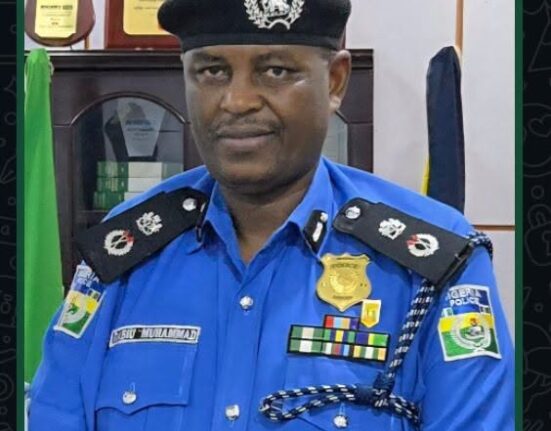 Police Vow to Prosecute Mob That Killed Woman Over False Child Theft Accusation in Kaduna