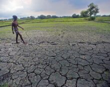 UN Weather Agency Forecasts Moderate to Strong El Niño That Could Drive Up Global Temperatures