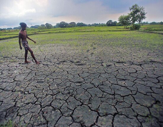 UN Weather Agency Forecasts Moderate to Strong El Niño That Could Drive Up Global Temperatures