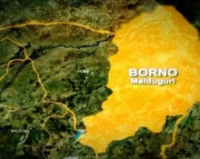 Borno Youths Chase Government Delegation Over Abducted Students