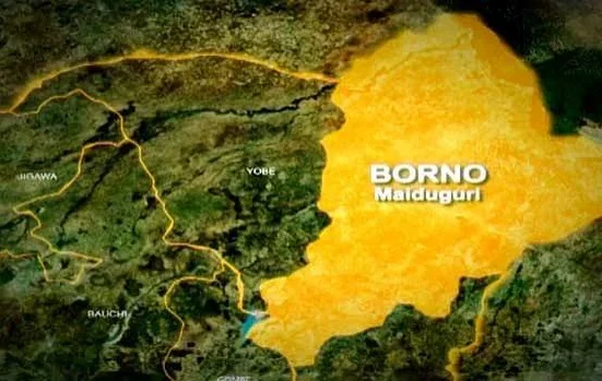Borno Youths Chase Government Delegation Over Abducted Students