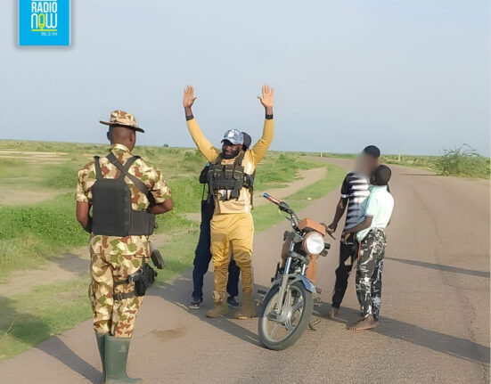 ISWAP finance operator, sons, surrender in Borno State