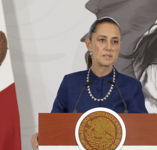 Mexico to press for criminal charges over deaths in ICE custody