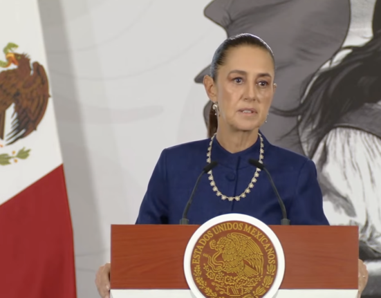 Mexico to press for criminal charges over deaths in ICE custody