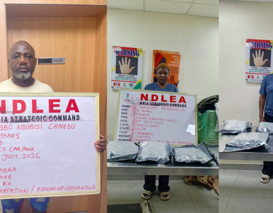 NDLEA intercepts ₦10 billion worth of cocaine, opioids in Lagos