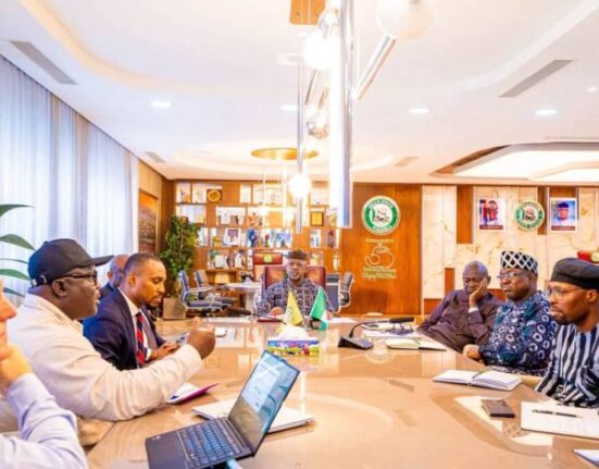 Nigeria’s largest oil palm producer plans initial $100million Ogun expansion